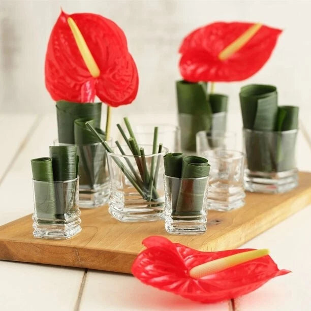 Lav Elegant Whiskey Glasses Set of 6, Vodkha, 10.7 oz | eBay