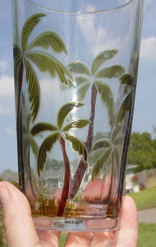 Set of 2 Acrylic Clear Iced Tea Tumbler Embossed Palm Tree 20 oz Tropical Beach | eBay