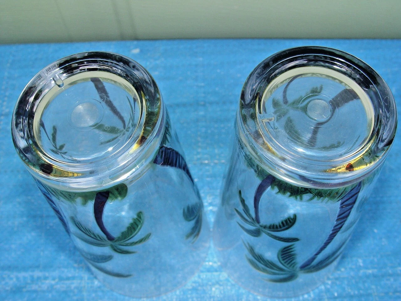 Set of 2 Acrylic Clear Iced Tea Tumbler Embossed Palm Tree 20 oz Tropical Beach | eBay